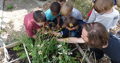 Fête du jardin à Saint Joseph