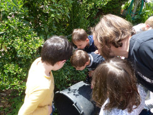 Fête du jardin à Saint Joseph