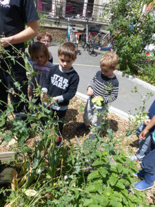 Fête du jardin à Saint Joseph