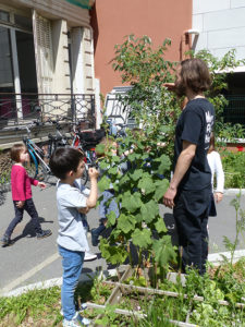 Fête du jardin à Saint Joseph