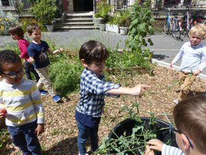 Fête du jardin à Saint Joseph