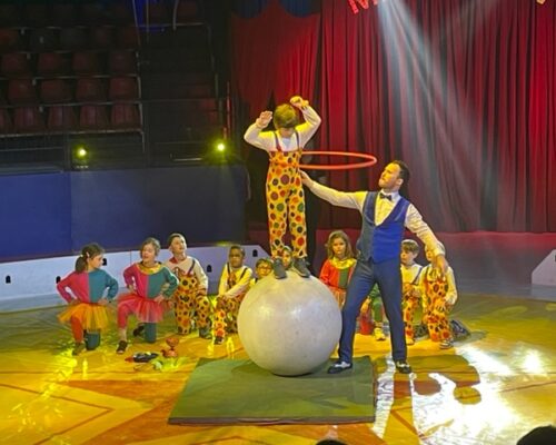 Stage arts du cirque