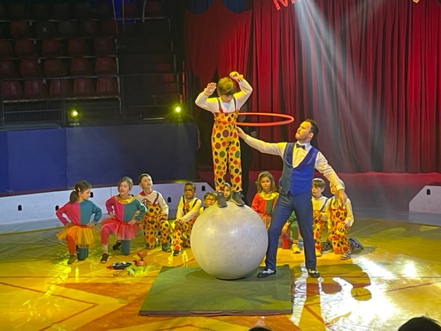 Stage arts du cirque