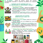 Newsletter_DD_1-1