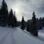 Séjour à Chatel pour les 5e