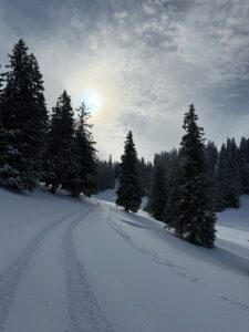Séjour à Chatel pour les 5e