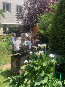 ECOANIM avec les CP