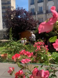 ECOANIM avec les CP