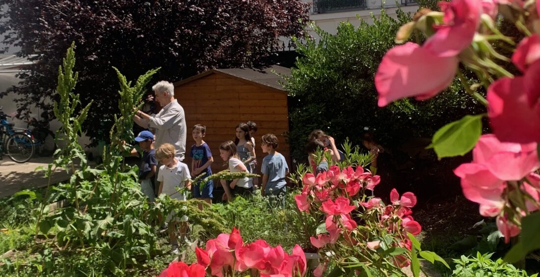 ECOANIM avec les CP