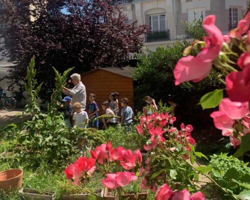 ECOANIM avec les CP