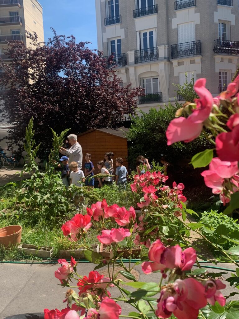ECOANIM avec les CP